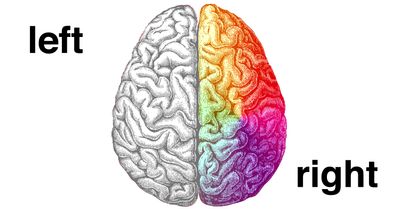 Exercising my right brain