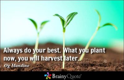 Just always do your best